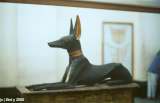 akal boh Anubis